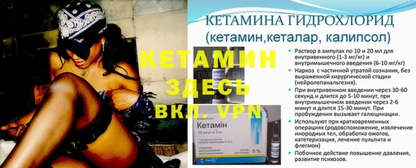 крисы Калининец