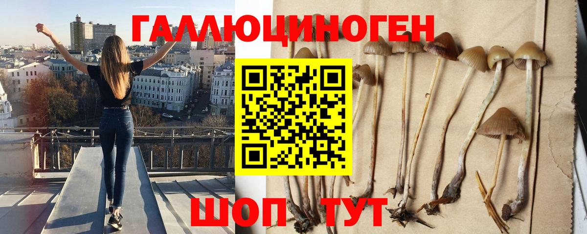 Галлюциногенные грибы Magic Shrooms Волгодонск
